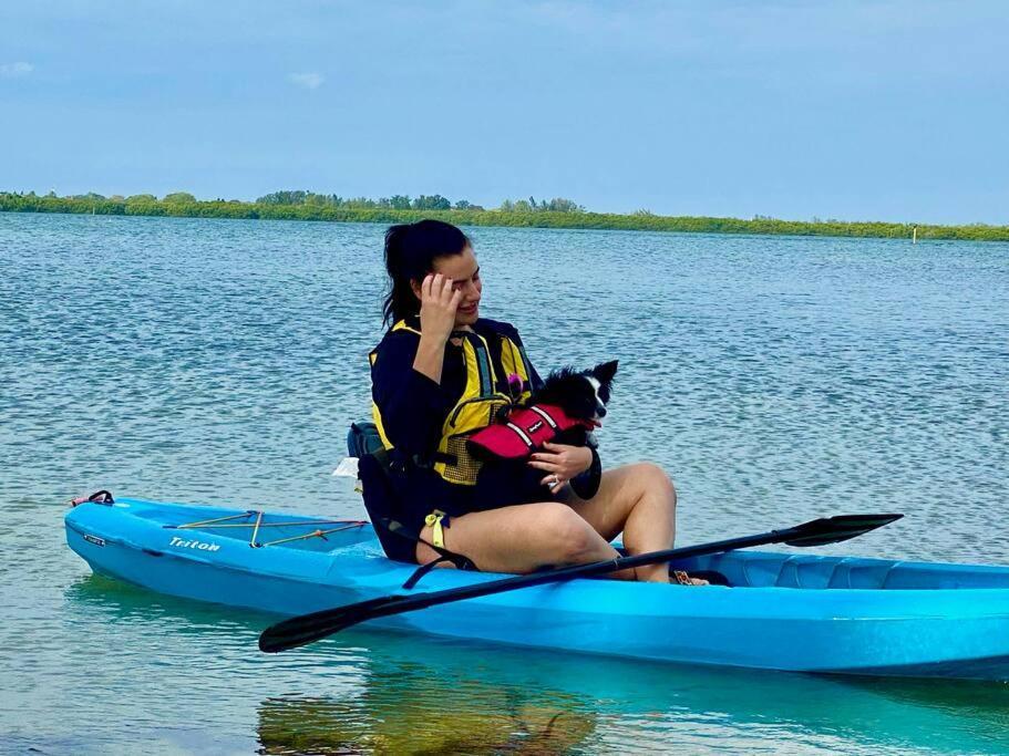 New Dog Paradise - Near The Beach Img & Downtown Bradenton Ngoại thất bức ảnh