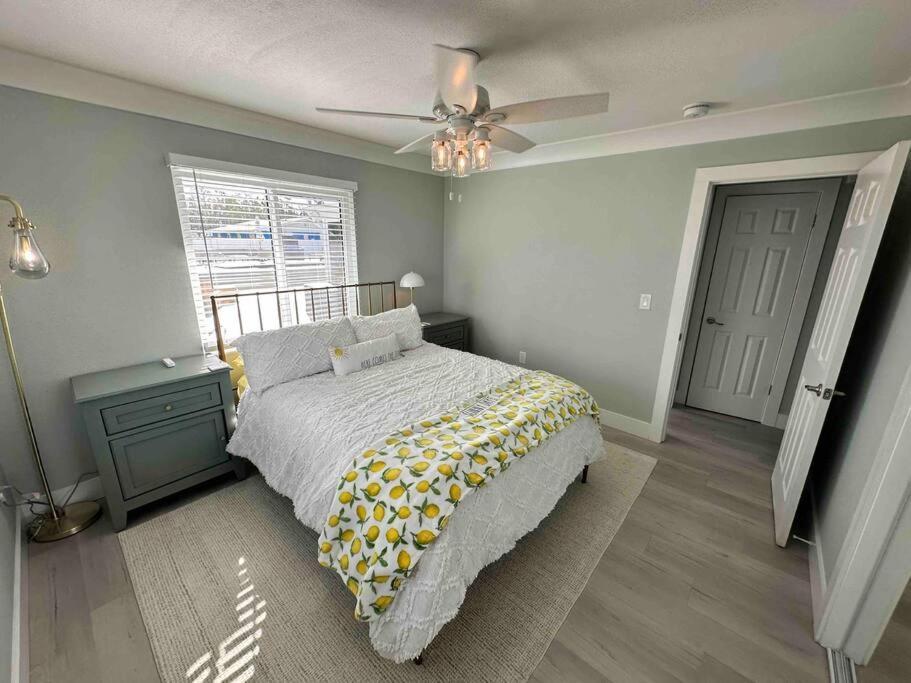 New Dog Paradise - Near The Beach Img & Downtown Bradenton Ngoại thất bức ảnh