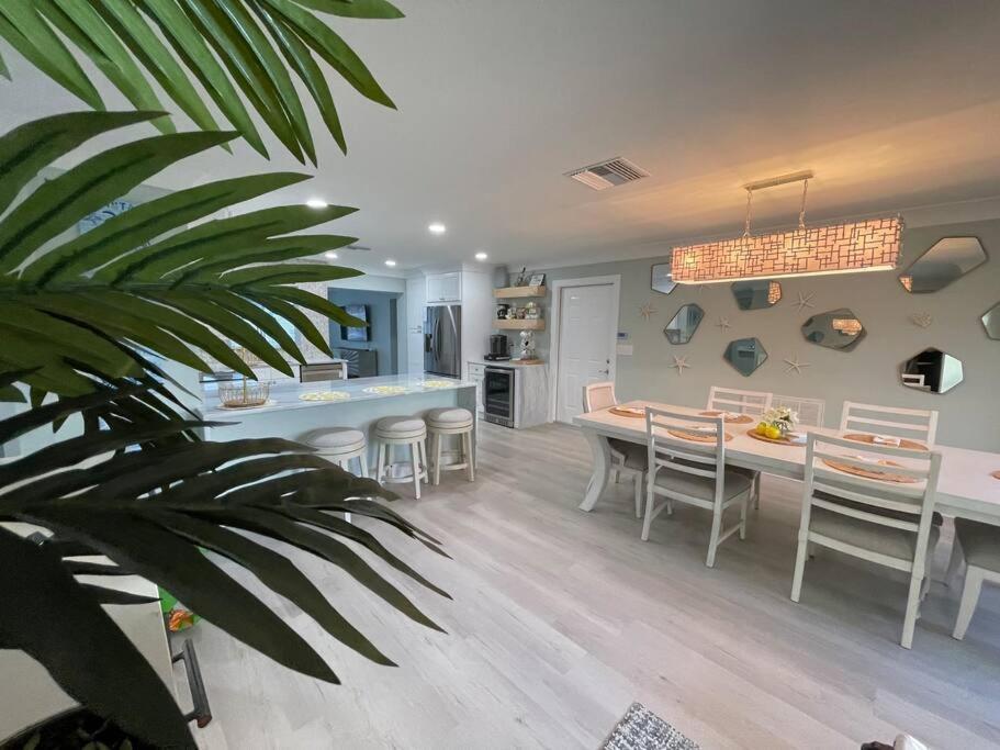 New Dog Paradise - Near The Beach Img & Downtown Bradenton Ngoại thất bức ảnh